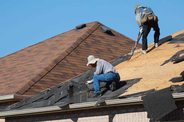 Best Roof Maintenance and Cleaning  in Jamestown, OH